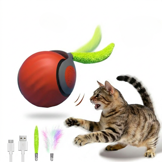 ZoomBall™️- Interactive enrichment ball for cats